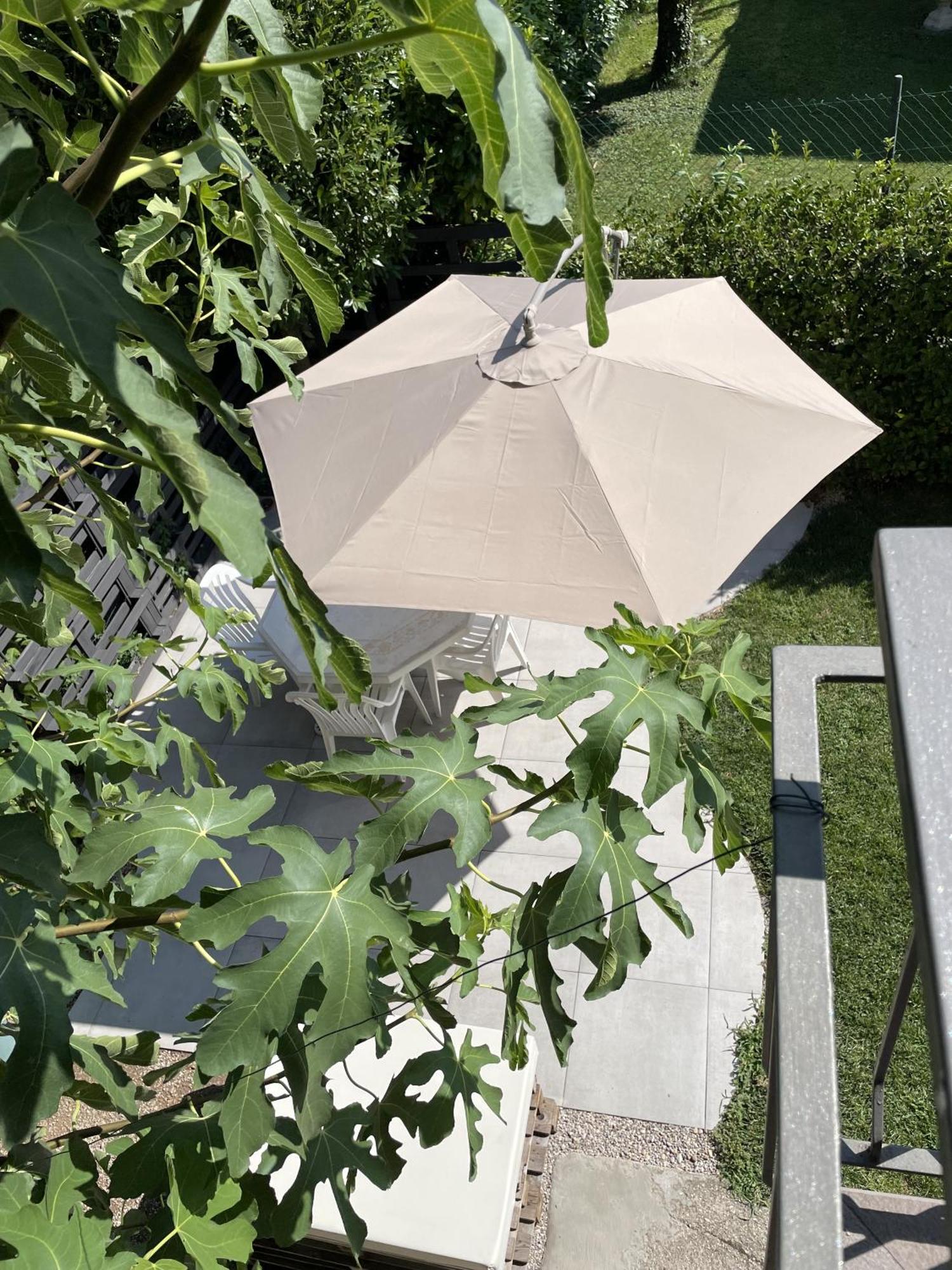 Casa Sivori Sul Lago Di Garda Con Ampio Giardino Desenzano del Garda Kültér fotó