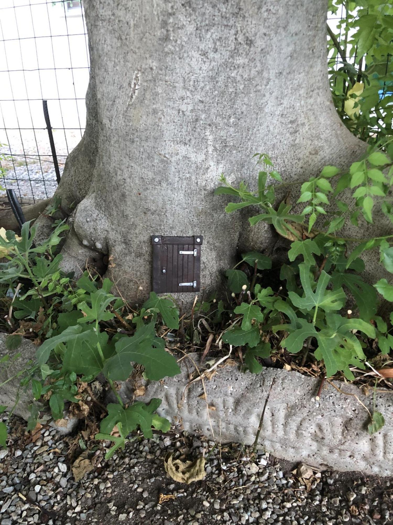 Casa Sivori Sul Lago Di Garda Con Ampio Giardino Desenzano del Garda Kültér fotó
